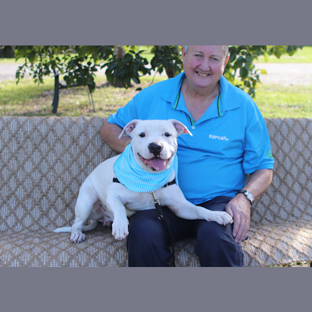 Photo of Bandit