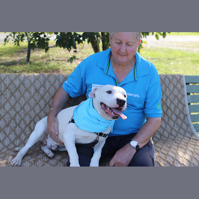 Photo of Bandit