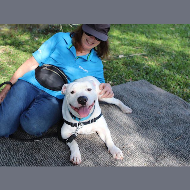 Photo of Bandit