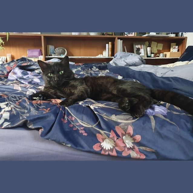Photo of Monty