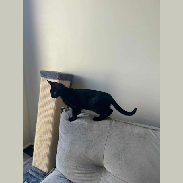 Photo of Lottie 💗