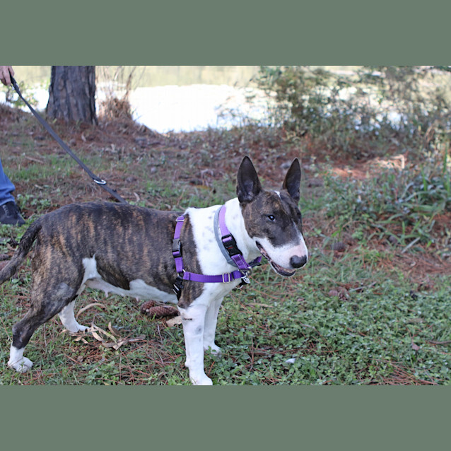 Photo of Zoe