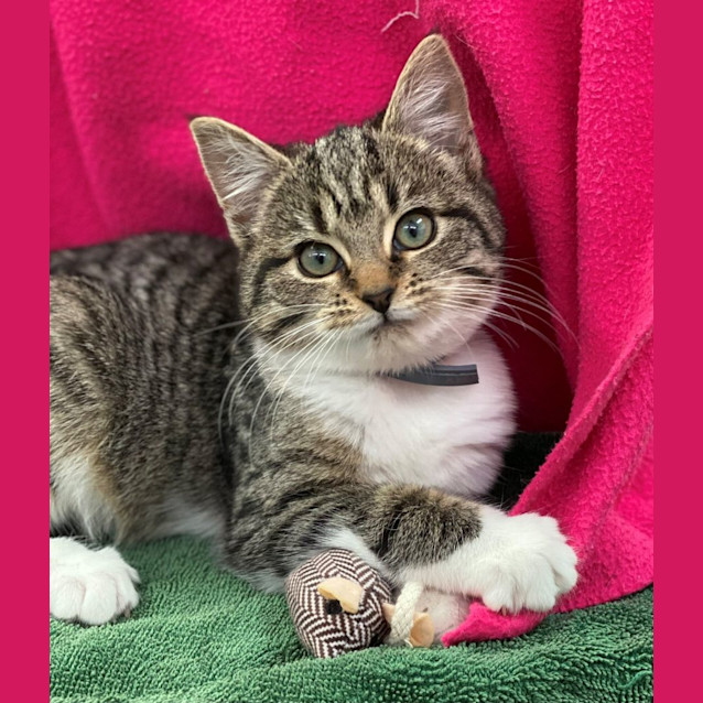 Photo of Gretchen (6547)