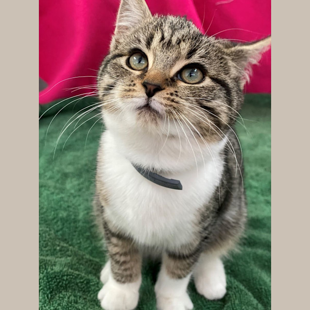 Photo of Gretchen (6547)