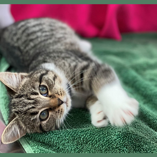 Photo of Gretchen (6547)