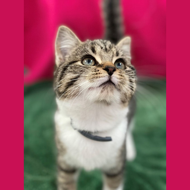 Photo of Gretchen (6547)