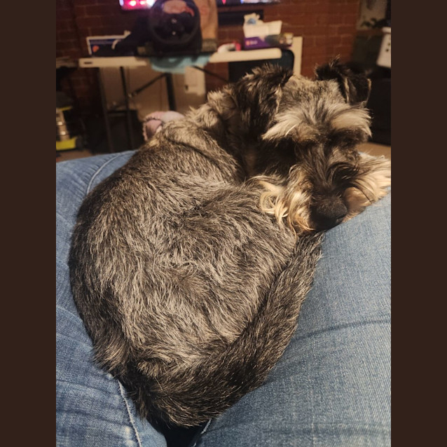 Photo of Photon
