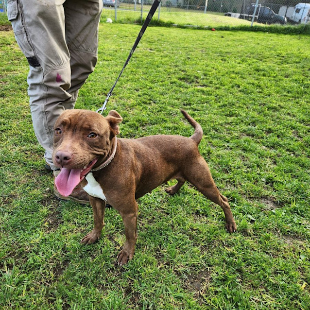 Photo of Honey   63757