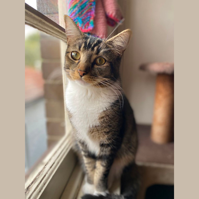 Photo of Truffle