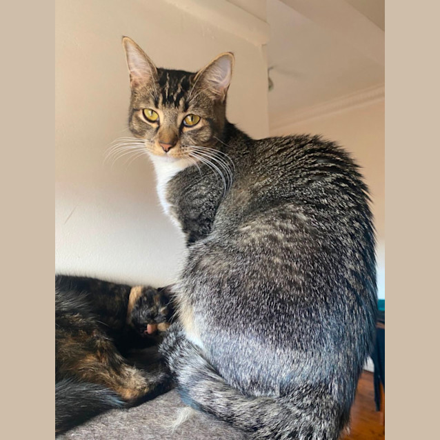 Photo of Truffle