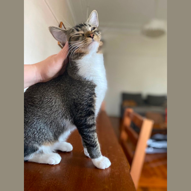 Photo of Truffle