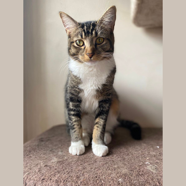 Photo of Truffle