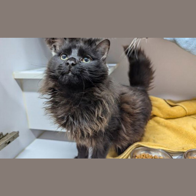 Photo of Jerry