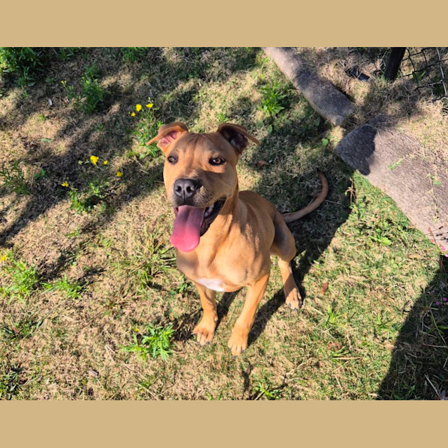 Photo of Flossy (6537)