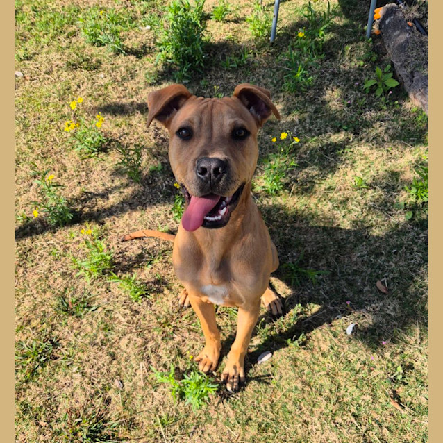 Photo of Flossy (6537)