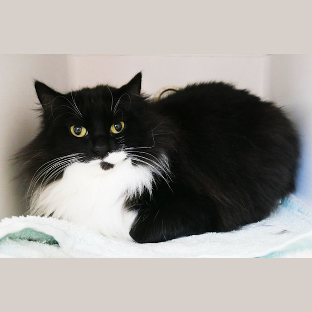 Photo of Tina Sta012161