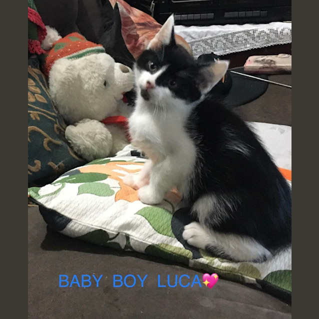Photo of Luca