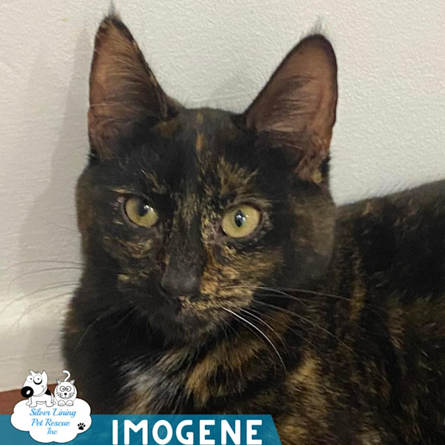 Photo of Imogene
