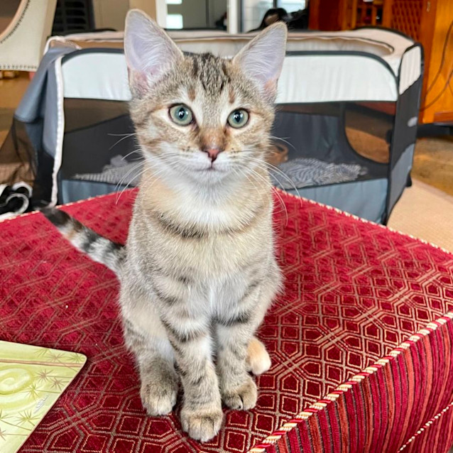 Photo of Luna And Missy 