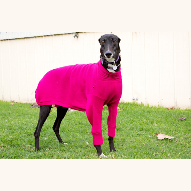 Photo of Pink Lady