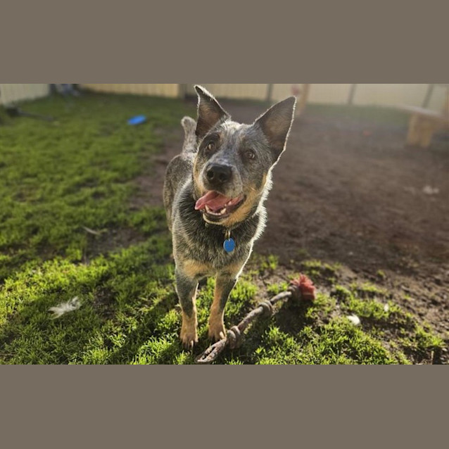 Photo of Billy
