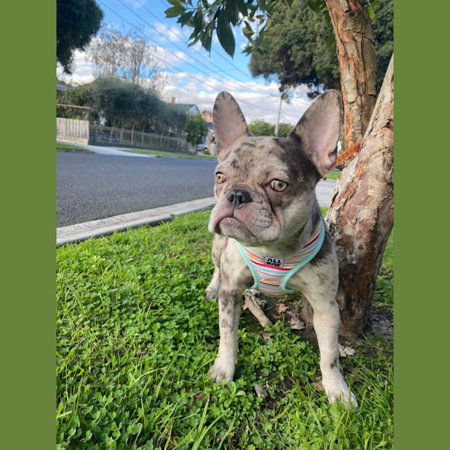 Photo of 🍭Lolah Lollipop🍭