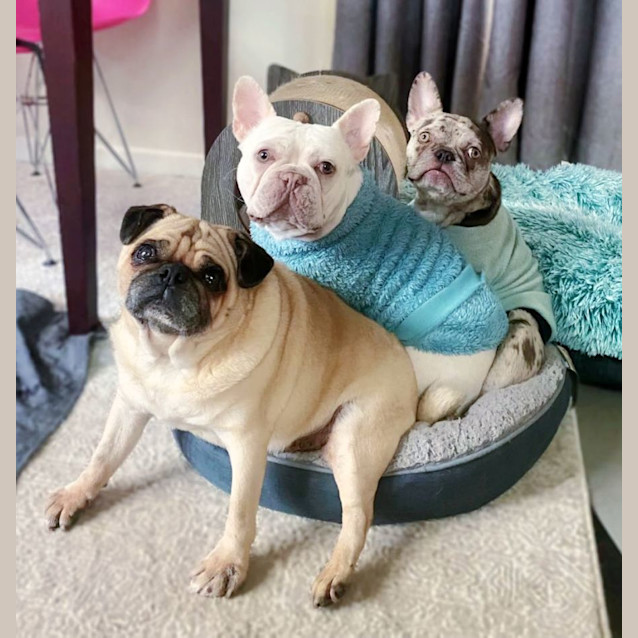 Photo of 🍭Lolah Lollipop🍭