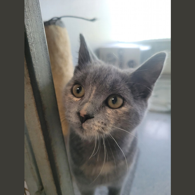 Photo of Skittles