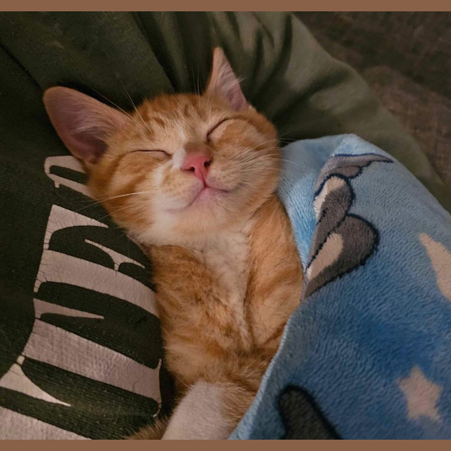 Photo of Crawford And Lavender