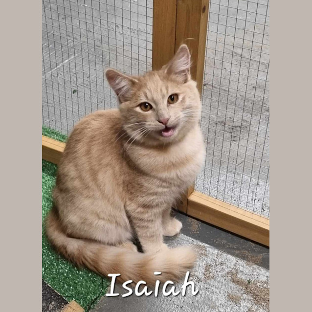 Photo of Isaiah