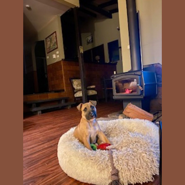Photo of Tayla