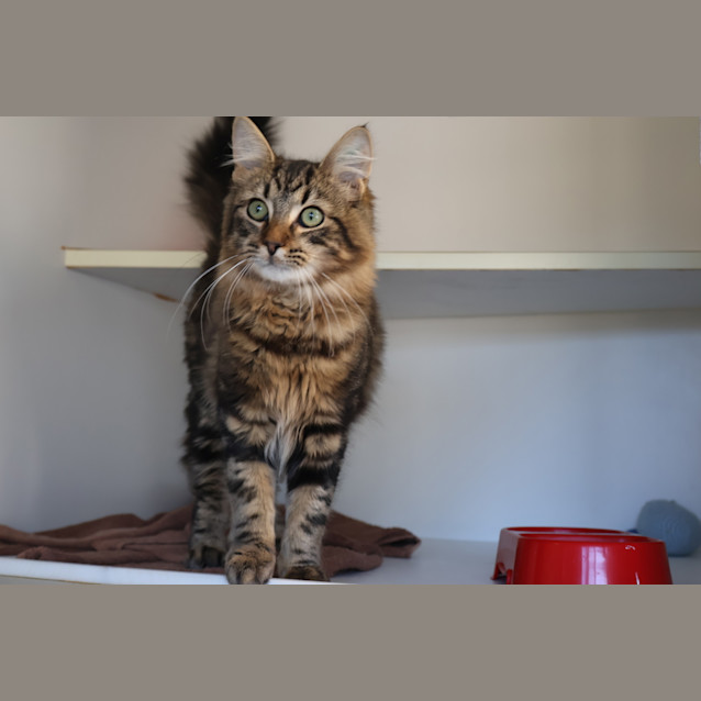 Photo of Fizzy