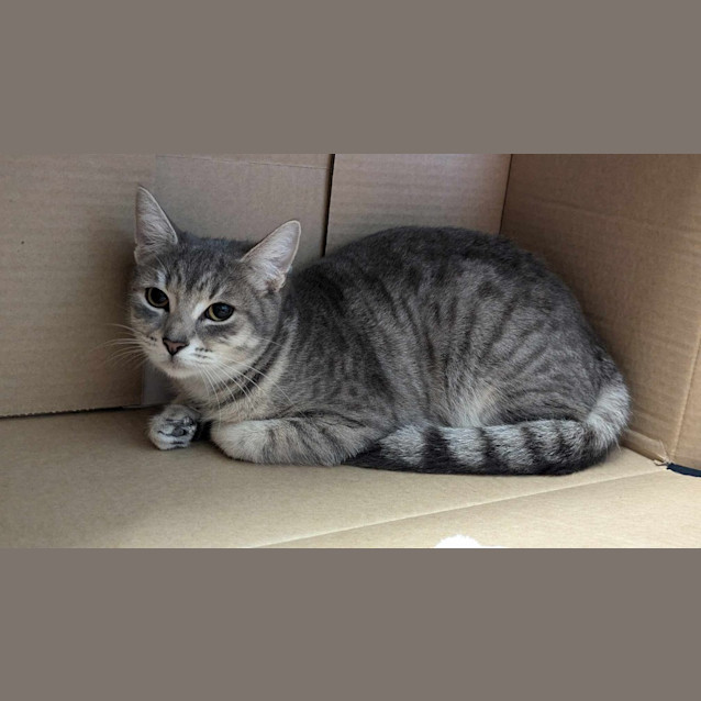 Photo of Meredith