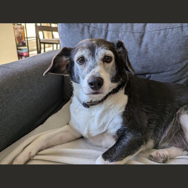 Photo of Sadie Illingworth