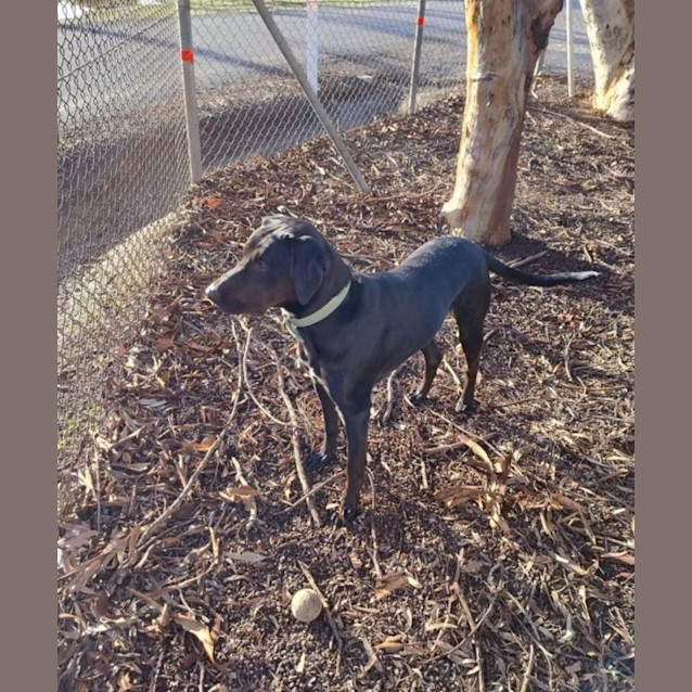 Photo of Matti Illingworth