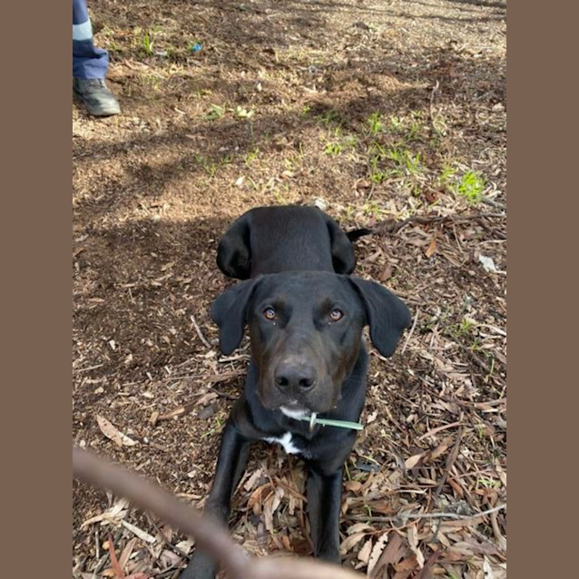 Photo of Matti Illingworth