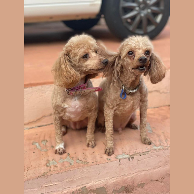 Photo of Charlie And Nessa