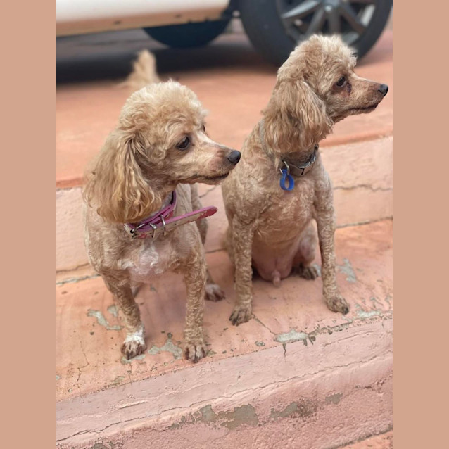 Photo of Charlie And Nessa