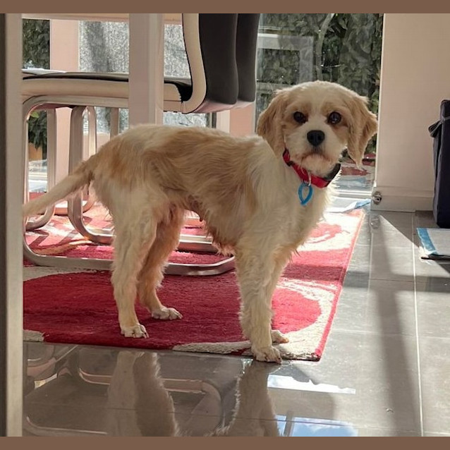 Photo of Molly