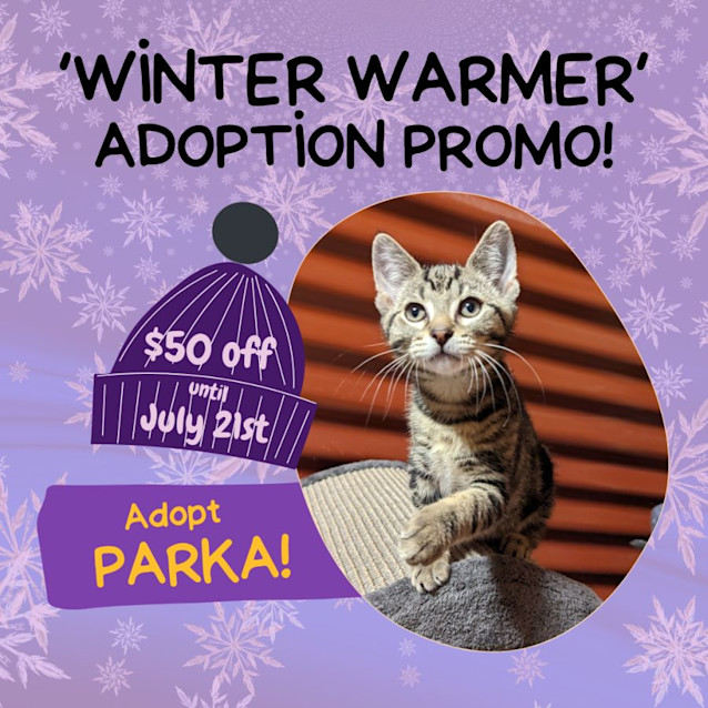 Photo of Parka