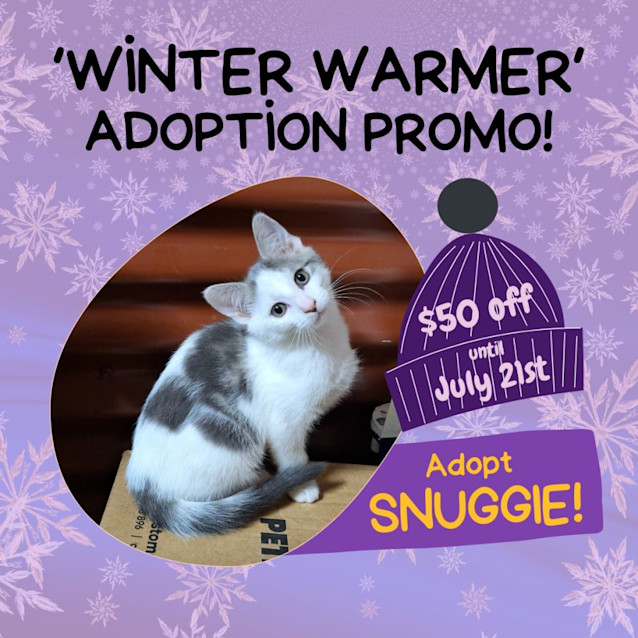 Photo of Snuggie
