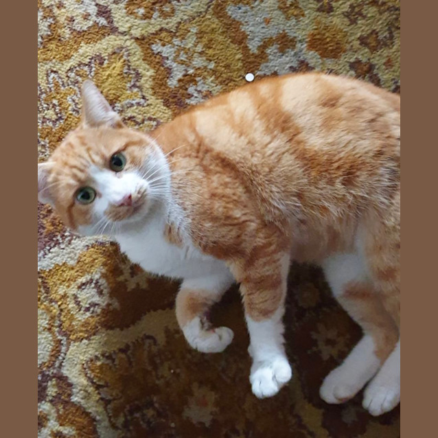 Photo of ☀️ Sunny ☀️ 