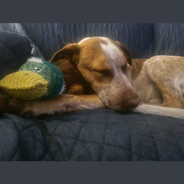 Photo of Chauncey