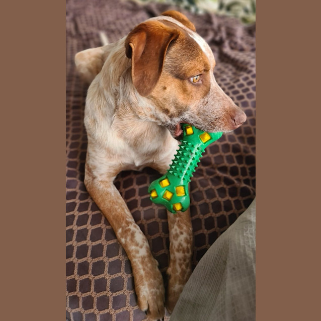 Photo of Chauncey
