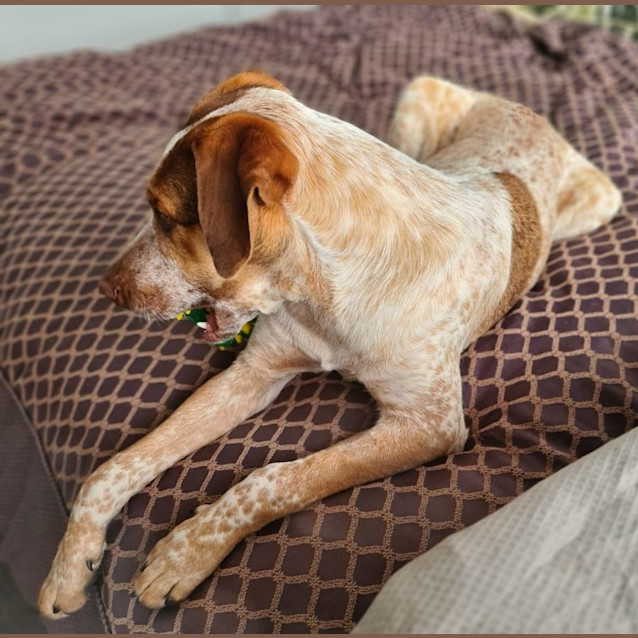 Photo of Chauncey