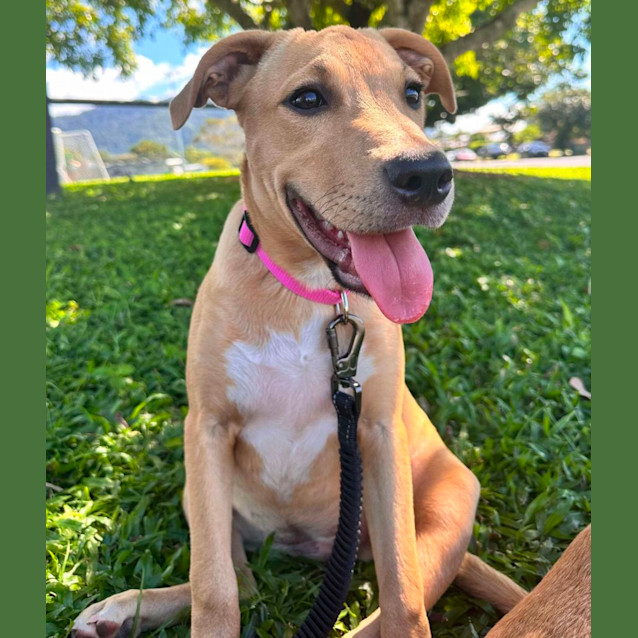 Photo of Wednesday