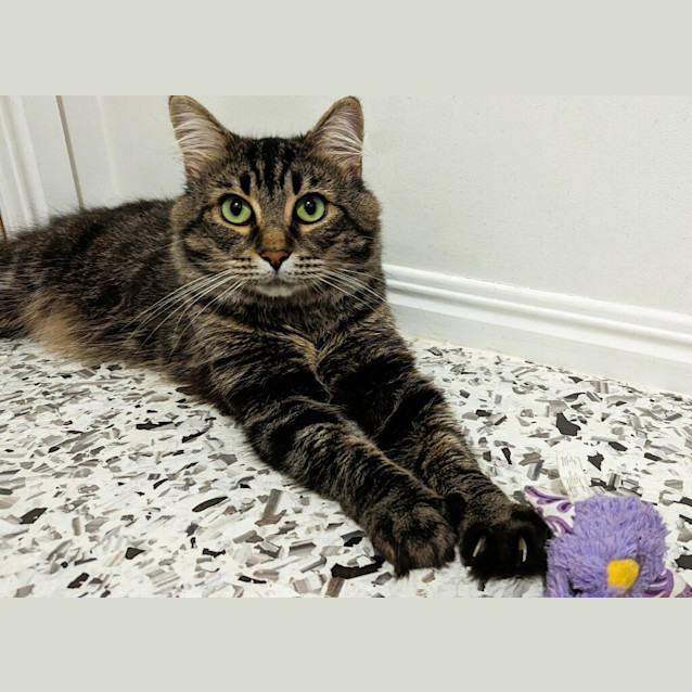 Photo of Bolt