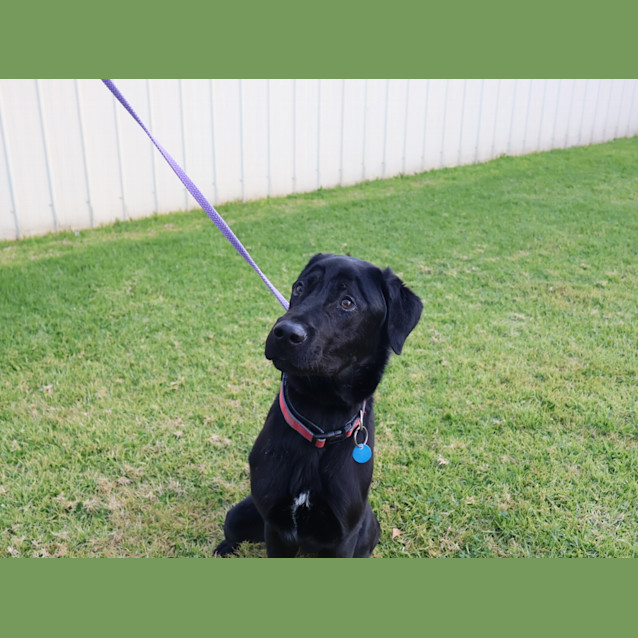 Photo of Long Boy Stewart