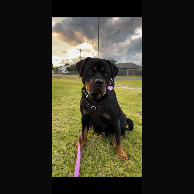 Photo of Lisha