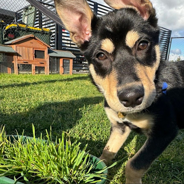 Photo of Bilbo Waggins